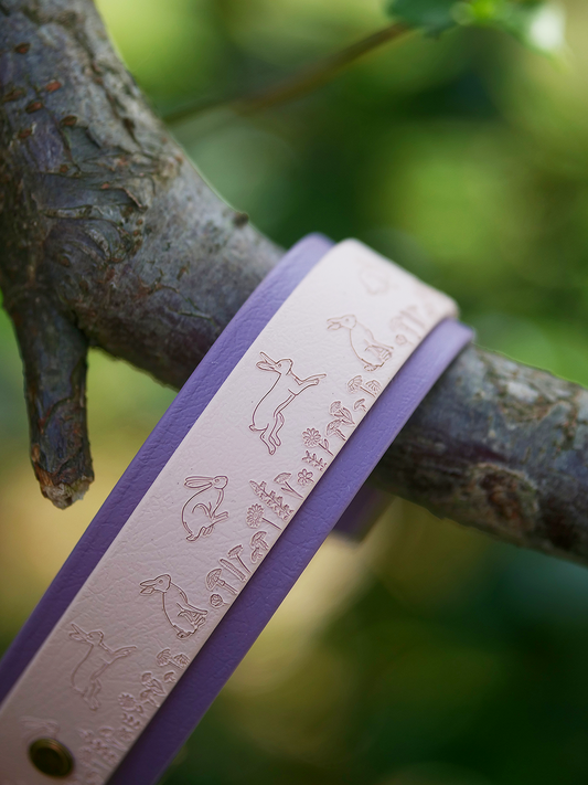 Wild Hare dog collar displayed on tree branch in natural woodland setting

