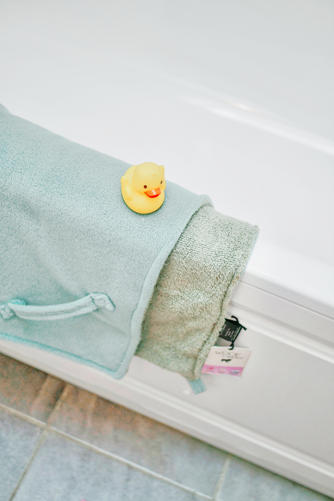 Sage Luxury Dog Towel