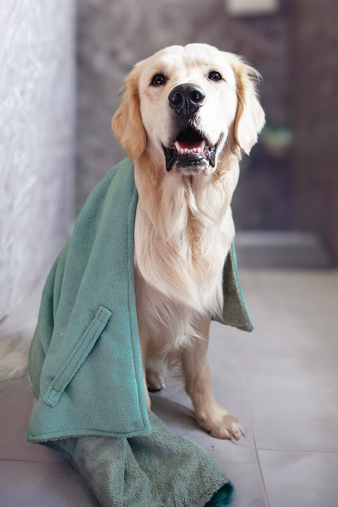 Sage Luxury Dog Towel