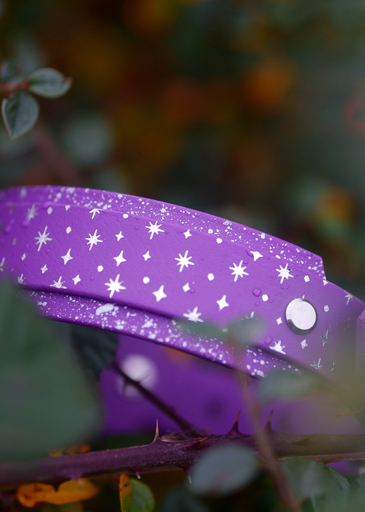 Starlight (Fig) - Embossed Hound Collar