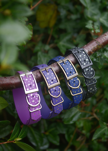 Starlight (Eclipse) - Embossed Hound Collar