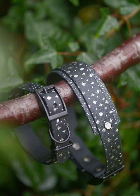 Starlight (Eclipse) - Embossed Hound Collar