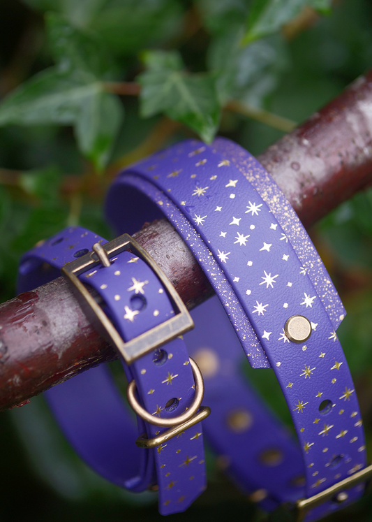 Starlight (Violets) - Embossed Hound Collar