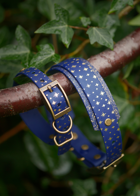 Starlight (Cosmos) - Embossed Hound Collar
