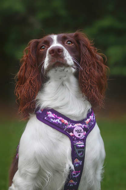 Daybreak Explor-Air Dog Harness (Pre-order)